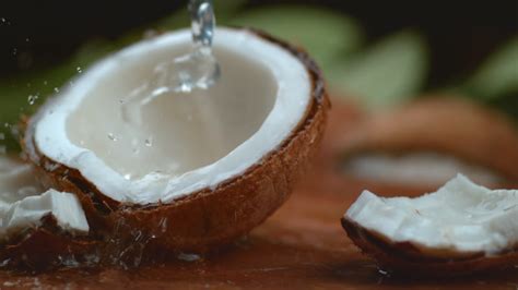 Check spelling or type a new query. water pouring onto a coconut cut in half by Via Films ...