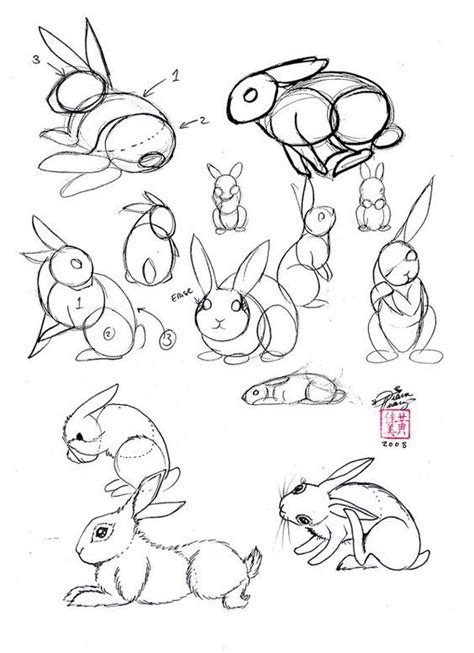 All of the tutorials on how2drawanimals.com are good drawing tutorials for beginners and experienced artists alike. How to draw a rabbit - www.BlickeDeeler.de | Follow us on ...