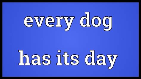 Every other day is abbreviated as eod. Every dog has its day Meaning - YouTube
