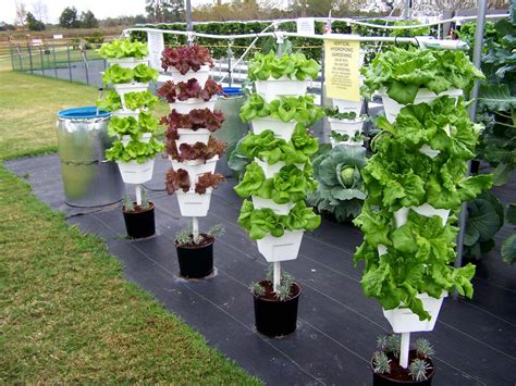 Check spelling or type a new query. Vertical vegetable garden, Vertical herb garden, Vertical ...