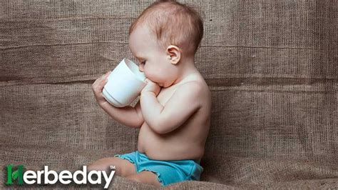 Some parents stick to all the books and research and give their child only. Herbal Teas for Babies Are Useful? 6 Best Baby Tea in 2020 ...