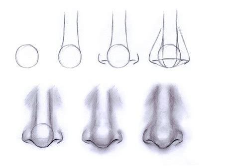 Learn create variety of shapes using this method. Tips on Drawing the Nose | Like Sketch