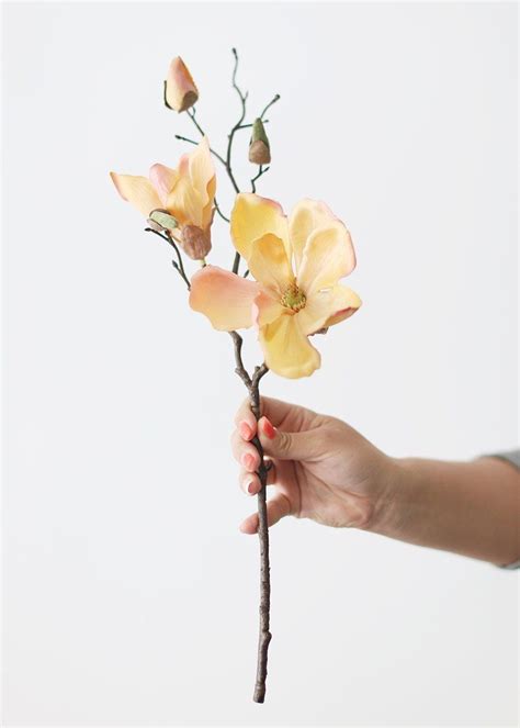 Flor magnolia magnolia trees magnolia flower trees and shrubs flowering trees trees to plant bonsai floral flowers beautiful flowers. Peach Silk Flower Magnolia Branch - 19" in 2020 | Silk ...