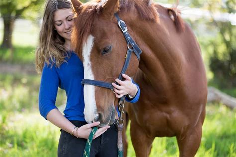 We provide this list as a service and as a collective list of places where many of our students have boarded in the past. The Best Horse Boarding Near Me - Florida Independent