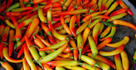 There is confusion about whether it originated in mexico or peru, but both. A Brief History of Chili Peppers