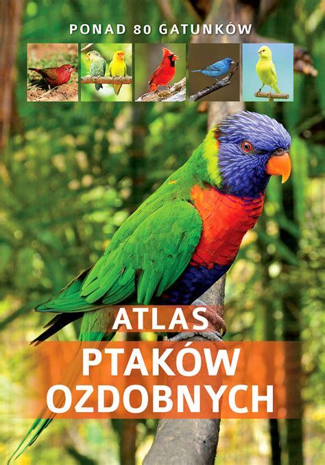 Atlas (plural atlases or atlantes). Atlas ptaków ozdobnych - praca zbiorowa - Książka ...