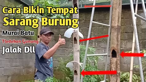 Kebetulan kalau kami punya rumpun bamboo sendir meski gak banyak. Cara Bikin Tempat Sarang Dari Bambu ||#su_kamdi - YouTube