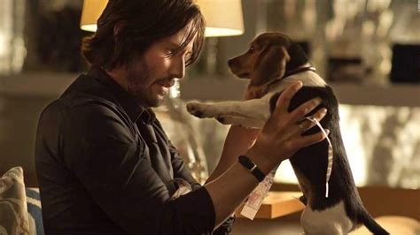 John wick using corpse as human sheilddiscussion (self.johnwick). JOHN WICK: Was für einen Hund hat er und warum ist der so ...