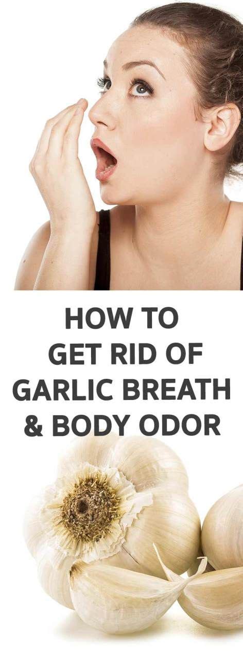 Get an expert's help for any of your concerns. WordPress › Error | Body odor, How to get rid, Garlic breath