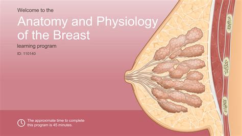 Check spelling or type a new query. Anatomy and Physiology of the Breast-A.D.A.M. OnDemand