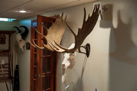 See 62,975 tripadvisor traveler reviews of 145 banff restaurants and search by cuisine, price, location, and more. Customer Trophies | Skull Hooker | European Skull Bracket ...