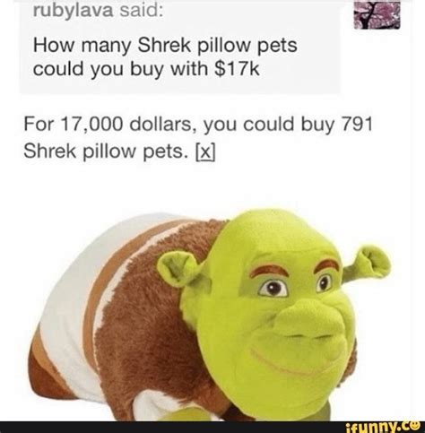 There are a few places on the internet where you can buy cheap pillow pets, but if you want a place you know and that you can trust, i would put my money on amazon.com. Rubylava said: I How many Shrek pillow pets could you buy with $17k For 17,000 dollars, you ...