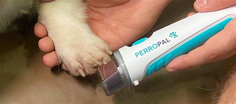 PerroPal Nail Grinder Review That Tells You the Truth