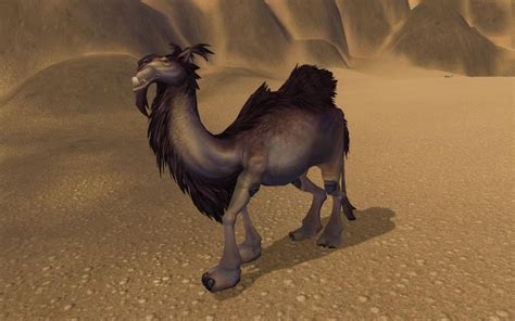 We have guides on every rare spawn, including the camel, and we can answer any other questions you. WoW-Guide: Jagd auf das graue Reitkamel - so erhaltet Ihr ...