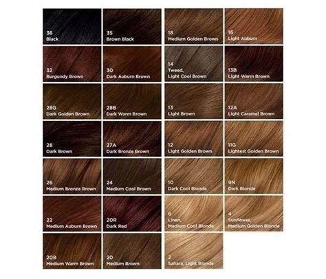 Clairol age defy permanent hair color, 5 medium brown, 1 count $9.81 ( $9.81 / 1 count) in stock. Pin on hair color kcp