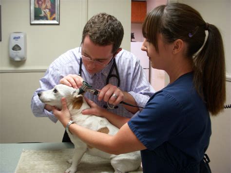 Your pet's health is our top priority. During a routine ...