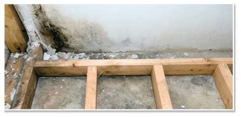 We provide incredible services at an affordable price. Damp, Moldy Basement - Milwaukee, Richland Center, WI ...