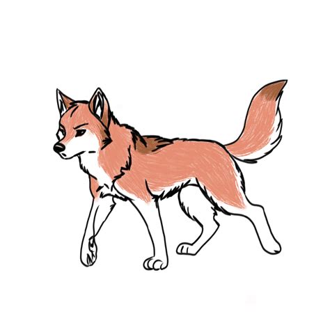 Fuchs zeichnen lernen - Anleitung für einen perfekten Fuchs