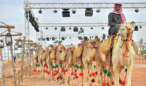 With each race that occurs, anywhere between. KSA's King Abdul Aziz Camel Festival attracts visitors ...