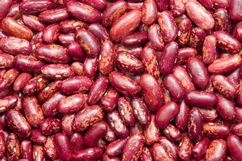Mediterranean inspired kidney bean salad. How to Soak Kidney Beans | eHow