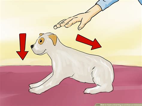 Repetition is key to teaching your dog to lie down when you say down. this video demonstrates how to deliver the down command and follow up with a treat. How To Teach Your Dog To Lay Down On Command