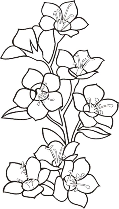 Disegno di fiore semplice per bambini piccoli da stampare. Fiori 24, Disegni per bambini da colorare