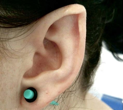 If it wasn't for the fact that i'm into my ears having asymmetrical piercings recently, i would definitely get the other ear done the same way. Pin by gremlin toad on WOUNDED AND ANIMAL, LURCHING ...