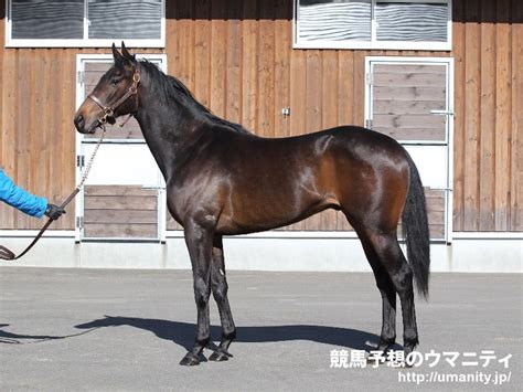 English translation by mera , checked and approved by damesukekun. ワールドプレミア - 競走馬データTOP｜12月22日有馬記念 G1【3着 ...