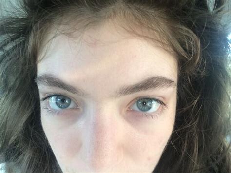 The site has reached a size of 170. Lorde calls photographer Simon Runting a stalker via Twitter