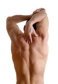 Muscle imbalances can cause uneven back muscles, poor posture or even increased risk of injury. Image result for back reference | Fitness, Exercise, Flexibility workout