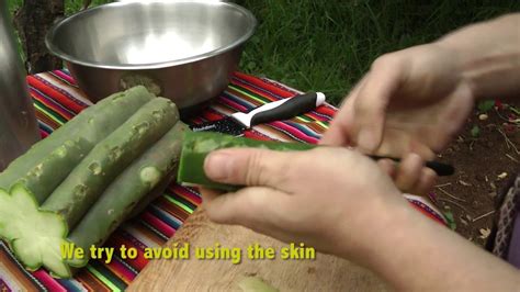 I simply can no longer tolerate the imbecilic. How to prepare San Pedro Cactus paste (Mescaline) - YouTube