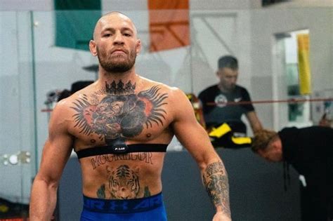 Edit tapology wikis about fighters, bouts, events and more. Conor McGregor tipped to shed 'one-trick pony' tag against ...