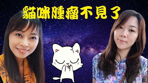 國際醫療中心 健康管理中心 形體美容醫學研究中心 乳房醫學中心 心血管中心 臨床心理中心 睡眠中心 運動醫學中心 物理治療中心 輔助暨整合醫學中. 貓咪的腫瘤居然消失了｜寵物靈性祈福｜寵物溝通有什麼風險呢 - YouTube