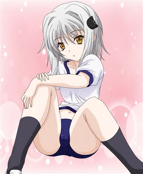 The girls want to play with magic and end up swapping some how. Koneko Toujou | High School DxD Wiki | FANDOM powered by Wikia