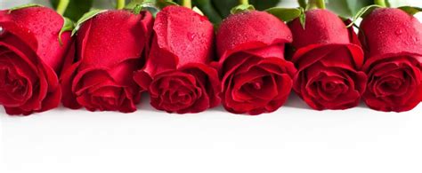 8 martie, felicitări, mesaje pentru mama. 8 martie, ziua Mamei. Mesaje, sms-uri și felicitări ...