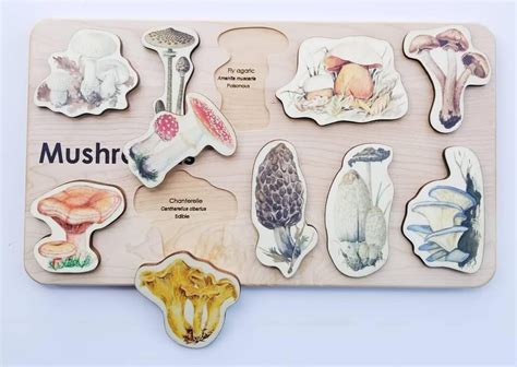 Literally every boy in my grade 7 class had a mushroom cut. Mushroom wooden puzzle in 2020 | Wooden puzzles, Wooden ...