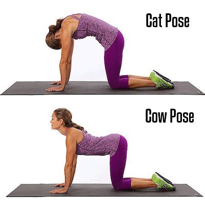 This is an excellent movement to do throughout pregnancy. Cat And Cow Pose Pictures, Photos, and Images for Facebook ...