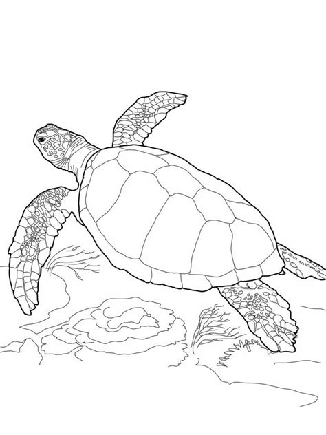 Pin the clipart you like. Free Printable Turtle Coloring Pages For Kids | Turtle ...