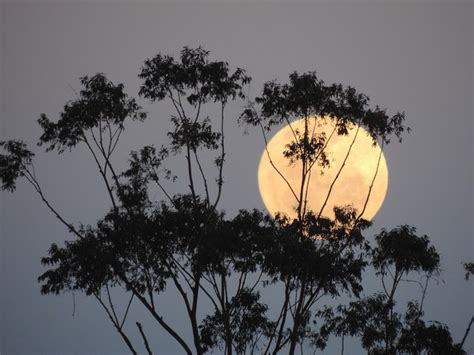 Bulan purnama, gerhana bulan total, bulan biru dan supermoon. Gerhana Bulan dan Supermoon Berturut-turut di Langit ...