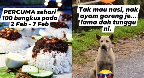 Mesti ramai yg pernah cuba nasi lemak di shell cyberjaya kan? Viral Nasi Lemak Stall Owner That Befriended A Stray Dog ...