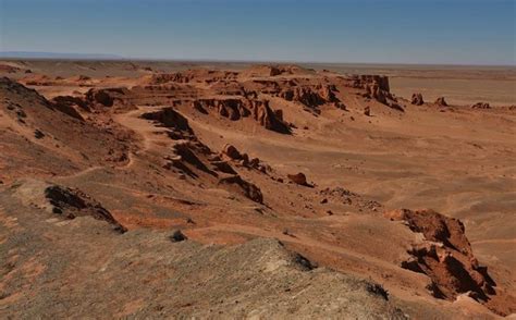 These pads, which form the bottom of their feet, are tough and leathery, and help prevent camels' feet from being burned by desert sands as they walk, and keep them from. Pin on Gobi Adventures