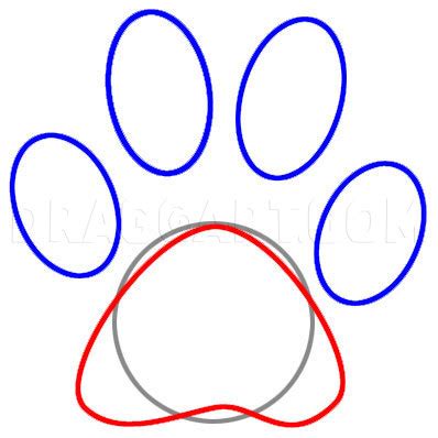 But before that here are some facts that will make you even more curious. Draw A Paw Print, Step by Step, Drawing Guide, by Dawn ...