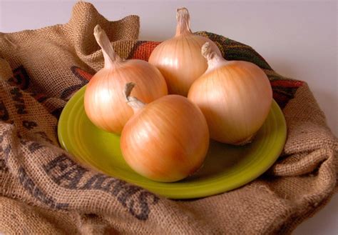 White onion, red onion, yellow onion: Yellow Onion Seeds,Organic Texas Early Grano 502 PRR Onion ...