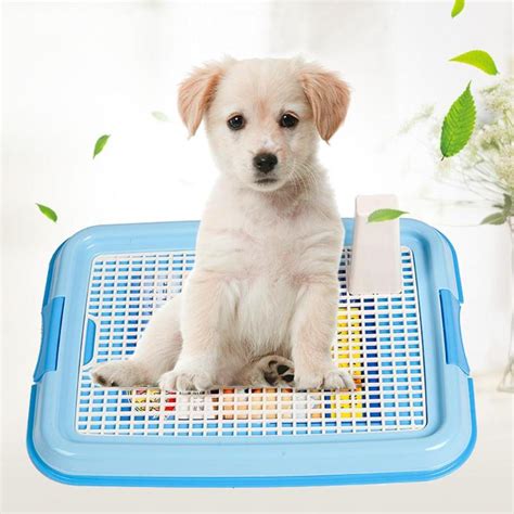 The following steps will help you get started: Mesh Pet Toilet Tray Dog Toilet Lattice Potty Toilet for ...