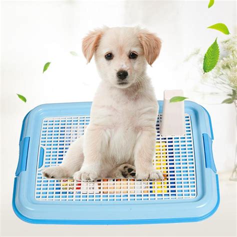 But when will you be able to say that the whole puppy. Mesh Pet Toilet Tray Dog Toilet Lattice Potty Toilet for ...