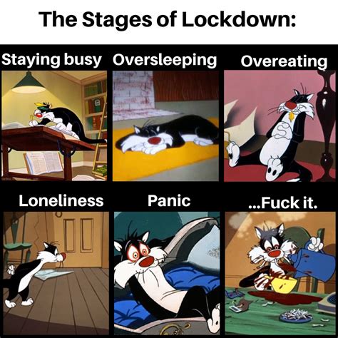 Submitted 19 days ago by dr_ploop_ploop. The stages of lockdown (fixed) : memes