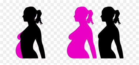 Prostaglandins (hormones released during a menstrual cycle to promote uterine contraction to shed the uterine lining) can affect the lower back muscles. Download Can I Get Pregnant Right After My Period Clipart ...