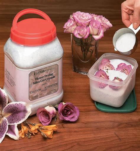 Buy online & pick up at store. Sarah G. Wallace: Best Flowers To Dry In Silica Gel / How ...