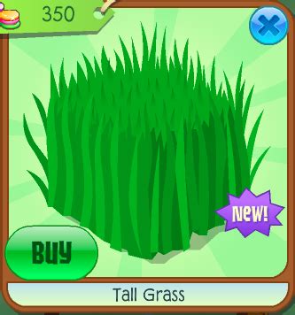 He was born in new jersey and educated at the university of virginia although he was not a graduate. Tall Grass | Animal Jam Wiki | Fandom