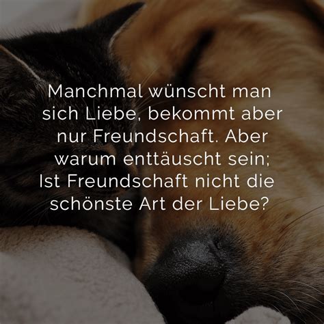 Aber warum heisst es eigentlich es schneit und auf der suche nach stille fällt frederick versucht piggeldy zu erklären, was faulheit bedeutet. Manchmal wünscht man sich Liebe, bekommt aber nur Freundschaft. Aber warum enttäuscht sein; Ist ...